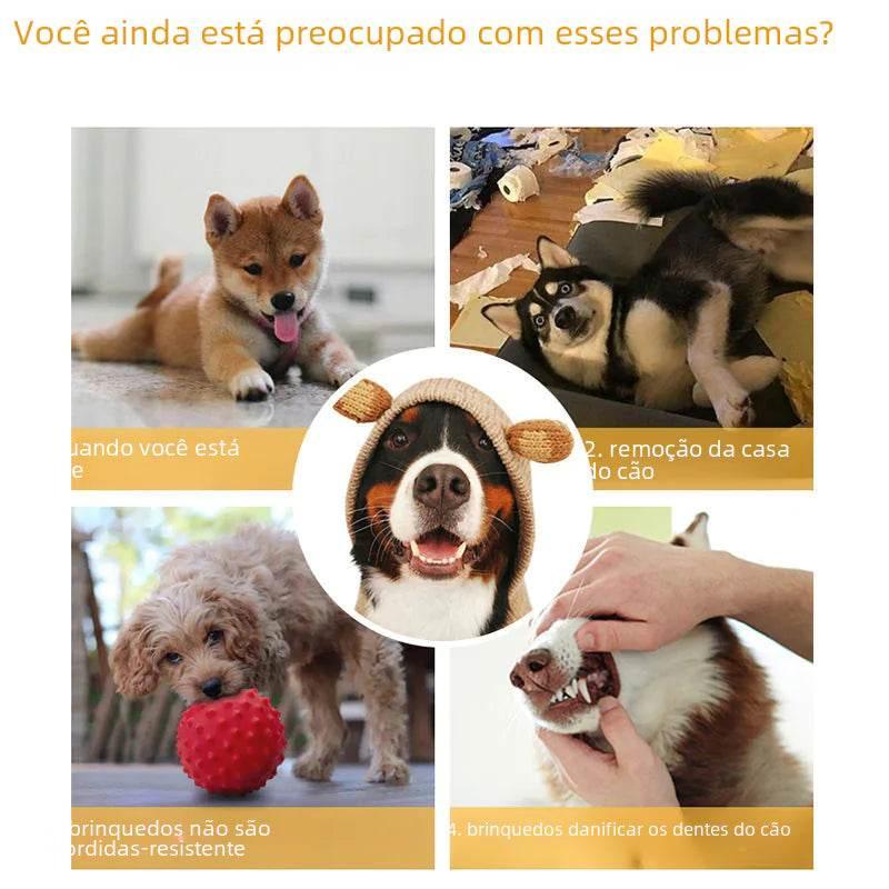 Pet Toy for Dogs - Interactive Chew Ball with Sound