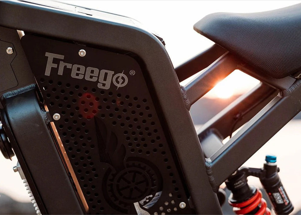 Freego X2 Off Road Dirt Electric Mountain Bike